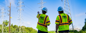 Pike Engineer conducting transmission system inspection